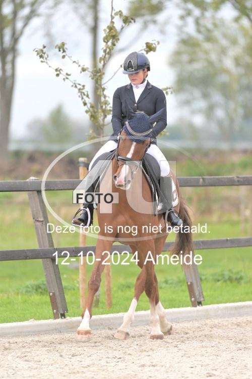241012 1151