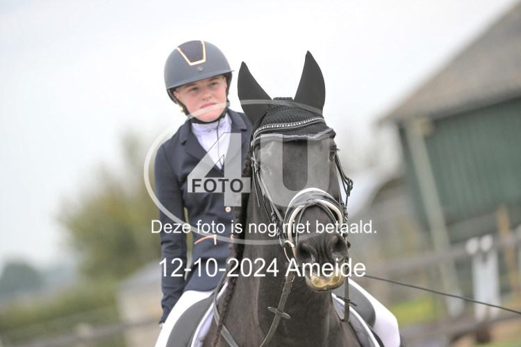 241012 1161