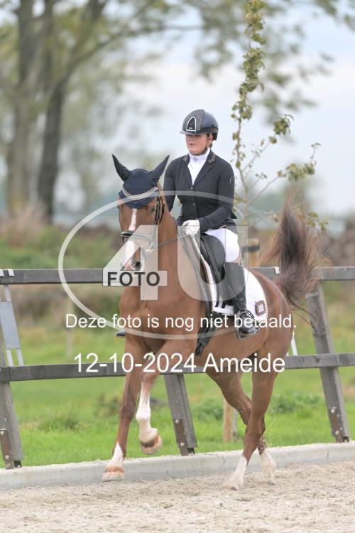241012 1165