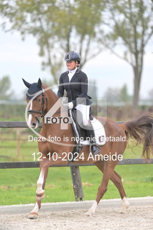 241012 1168