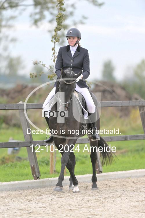 241012 1196
