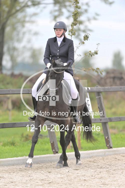 241012 1197