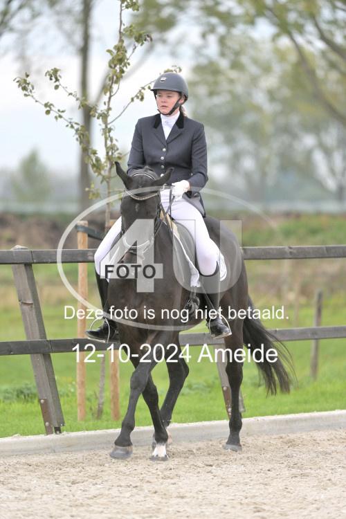 241012 1199