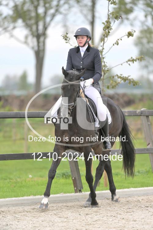 241012 1200