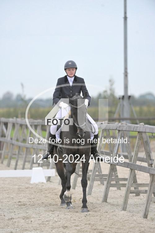 241012 1210