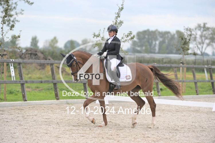 241012 1217
