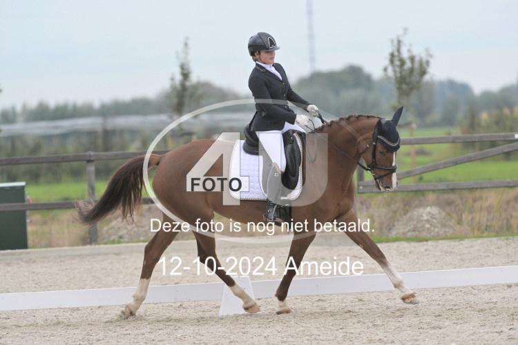 241012 1224