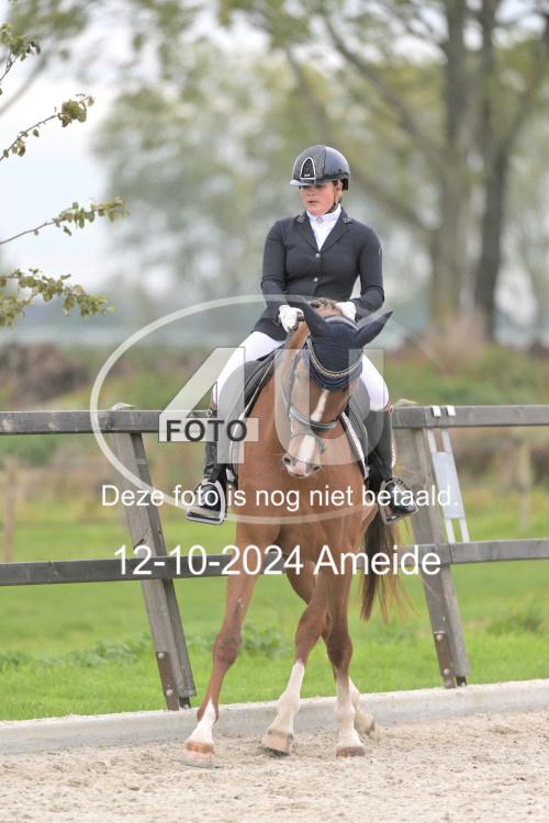 241012 1232