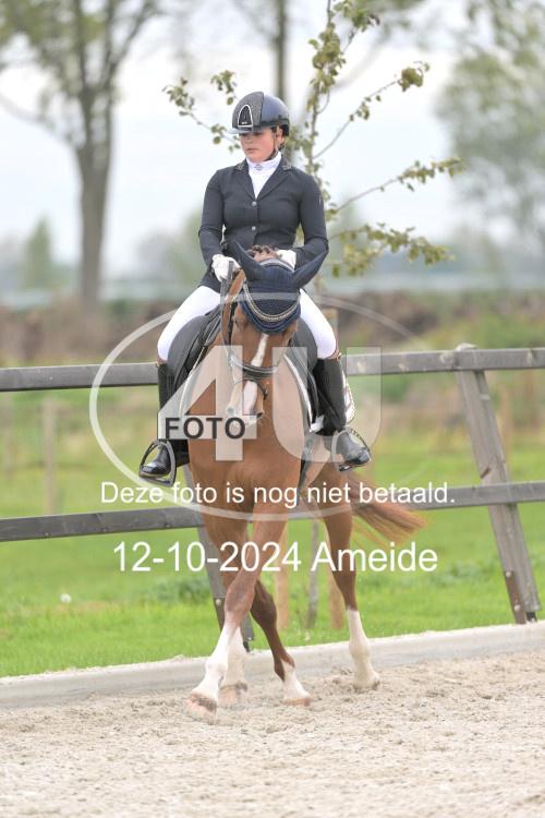 241012 1233