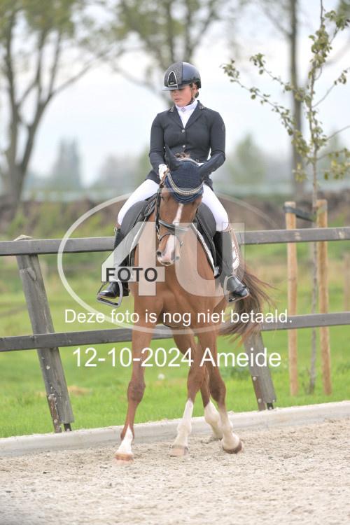 241012 1234