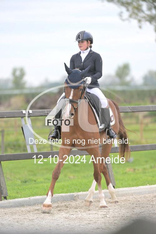 241012 1236