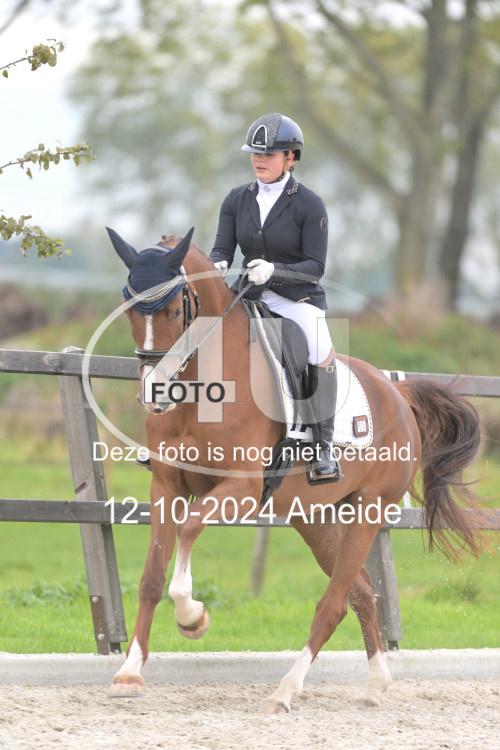 241012 1238