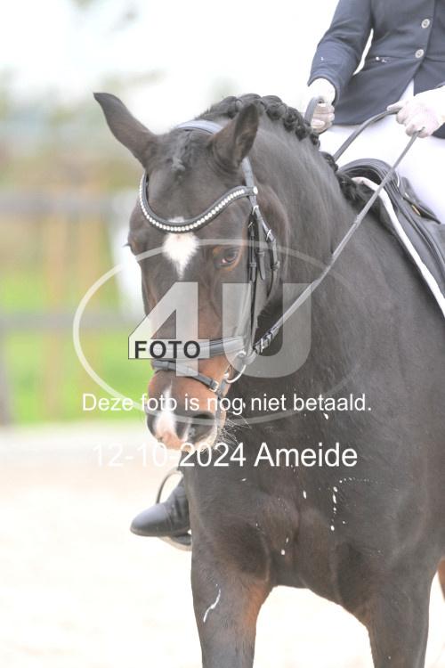 241012 1256