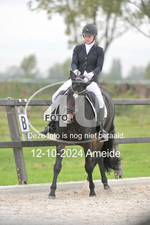 241012 1263
