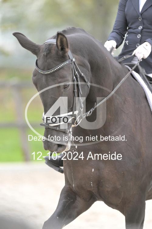 241012 1312