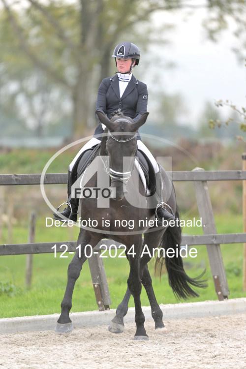 241012 1316