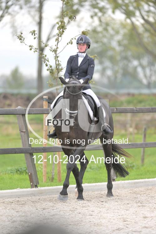 241012 1318