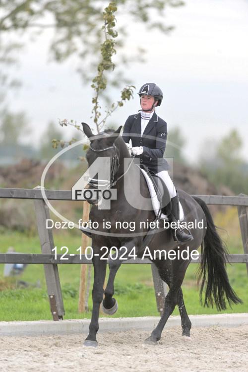 241012 1335