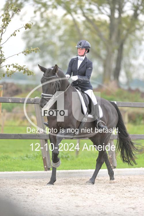 241012 1337