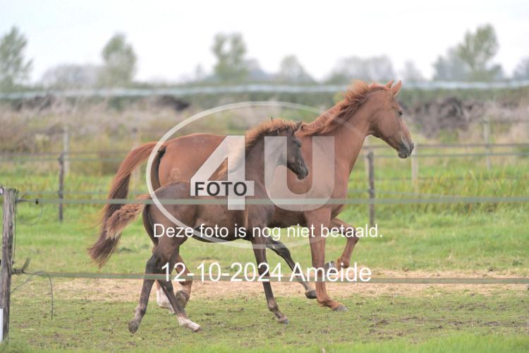 241012 1352