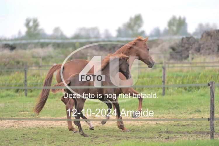 241012 1353