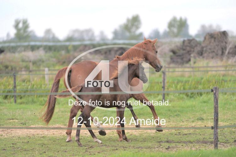 241012 1354