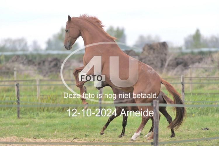 241012 1355