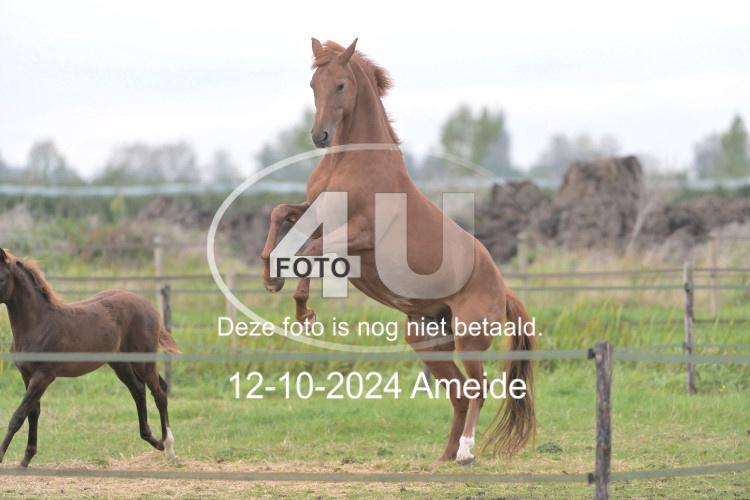 241012 1357