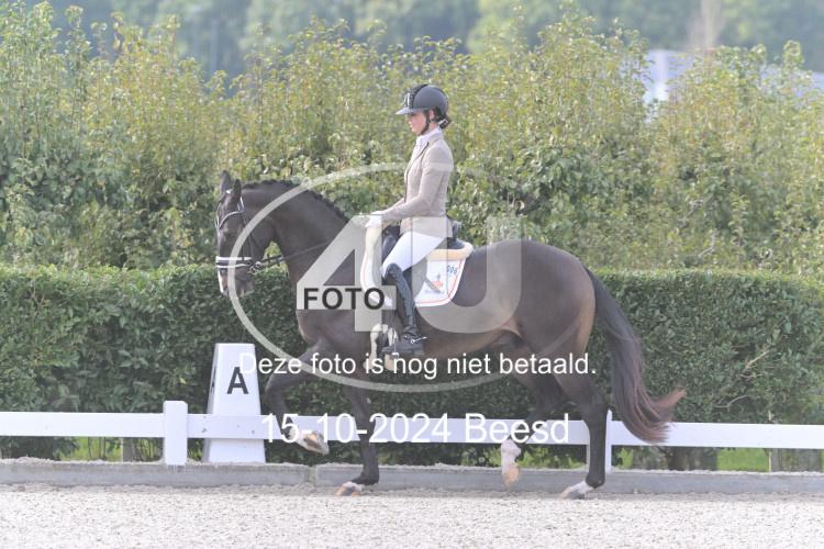 241015 0019