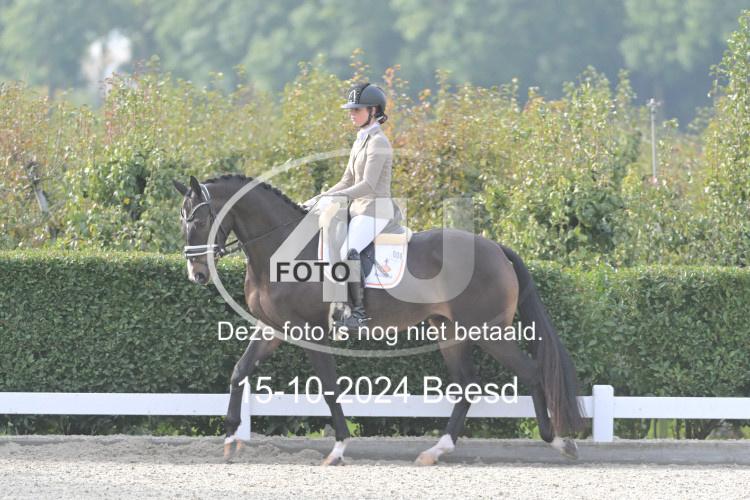 241015 0024