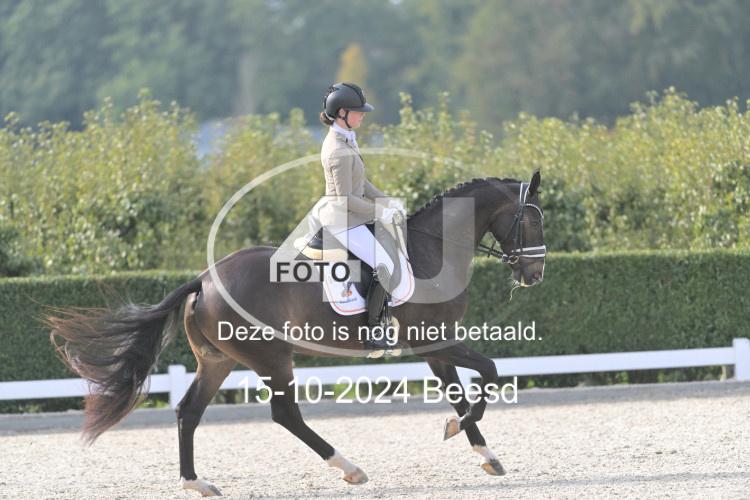 241015 0058