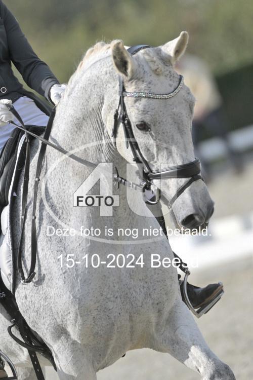 241015 0133