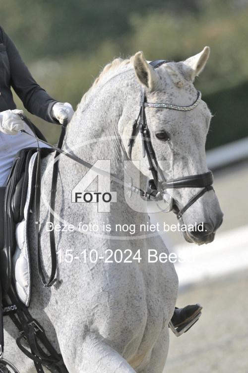 241015 0134