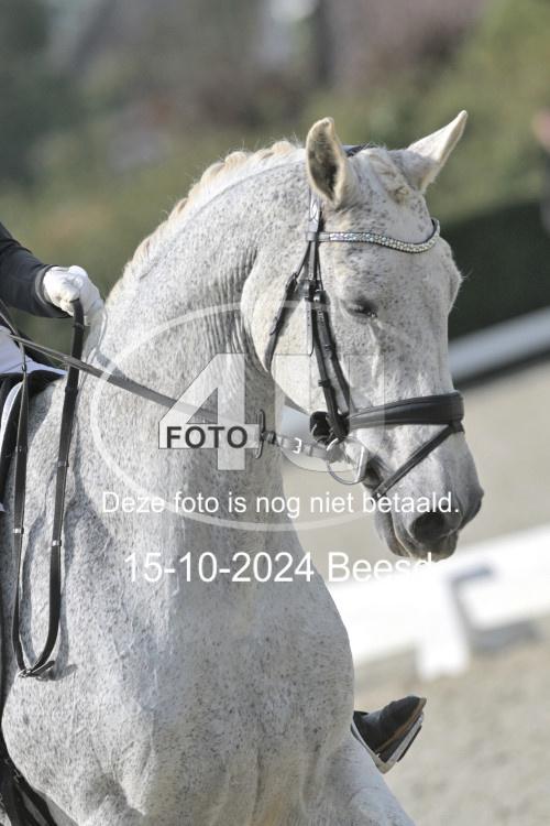 241015 0135