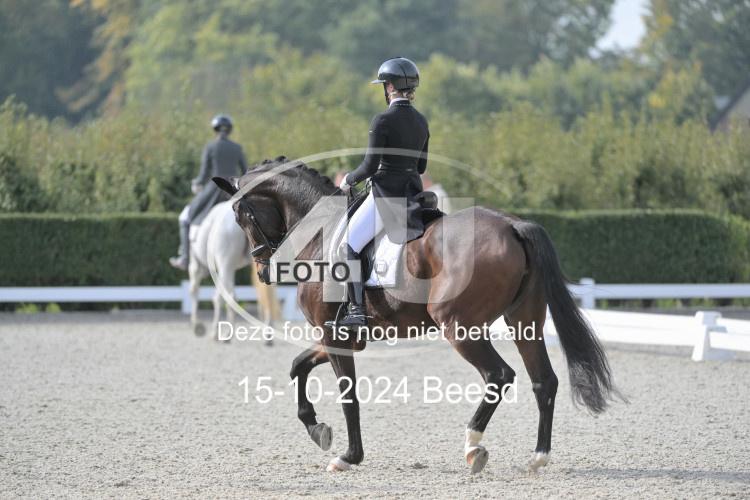 241015 0202