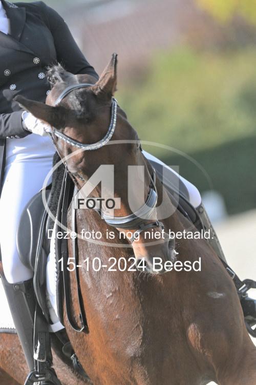 241015 0228