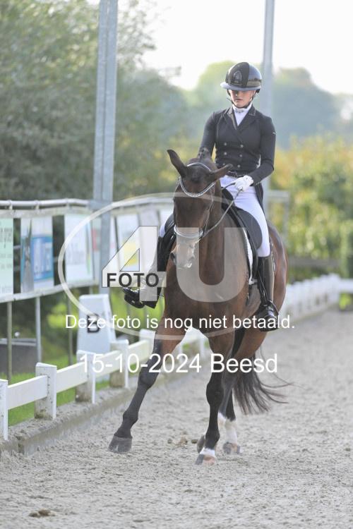 241015 0242
