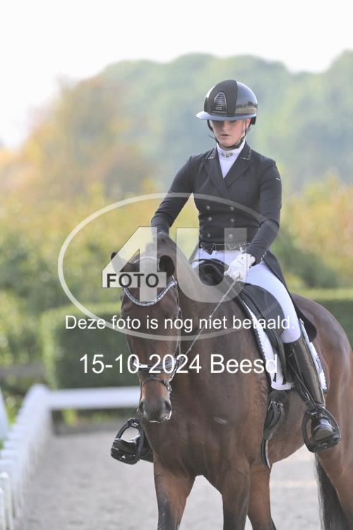 241015 0248