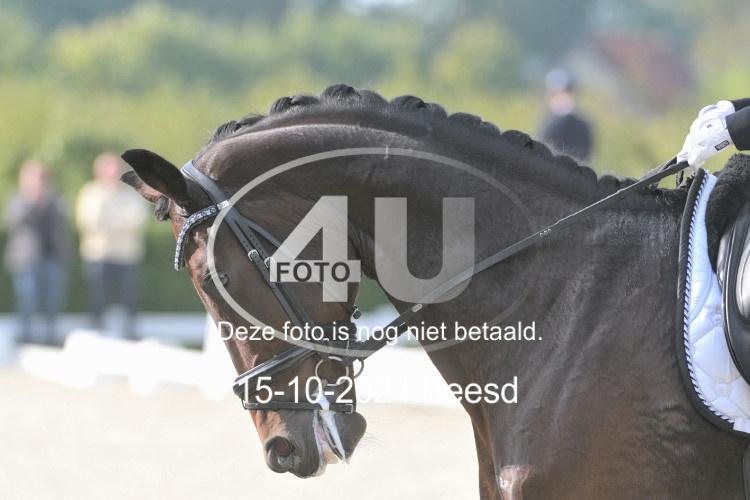 241015 0254