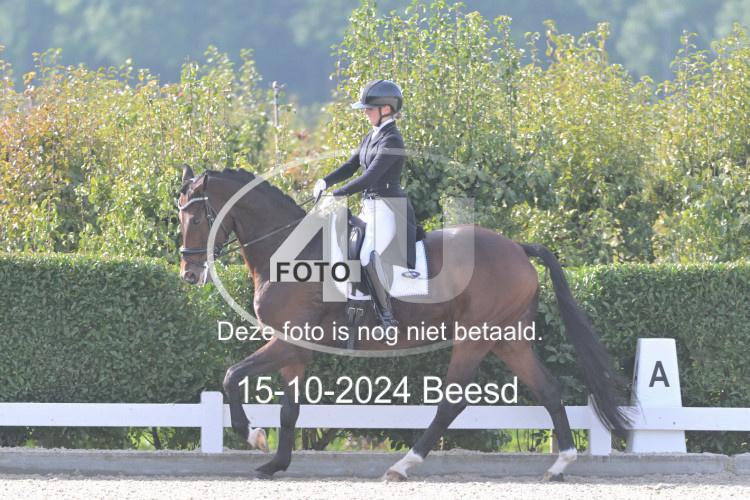 241015 0272