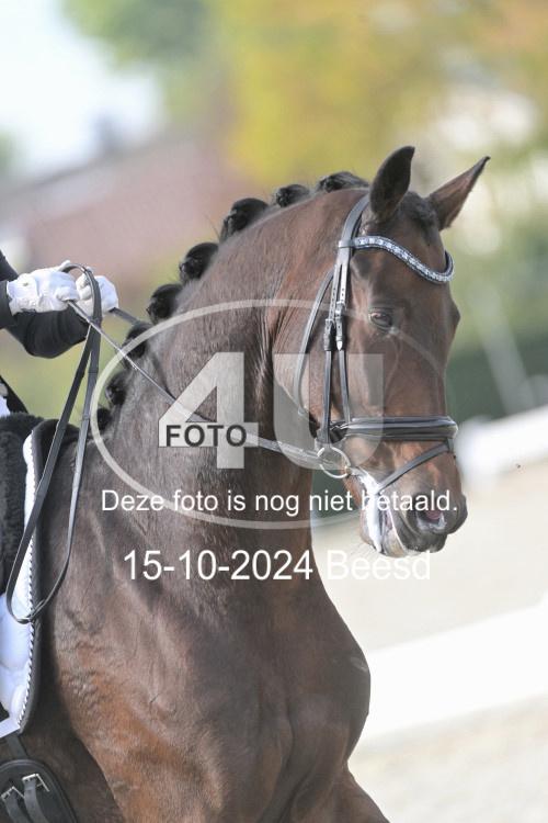 241015 0280