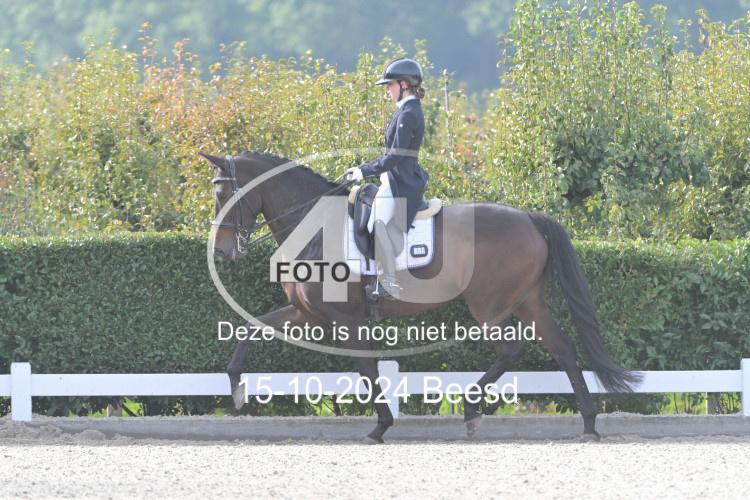 241015 0293