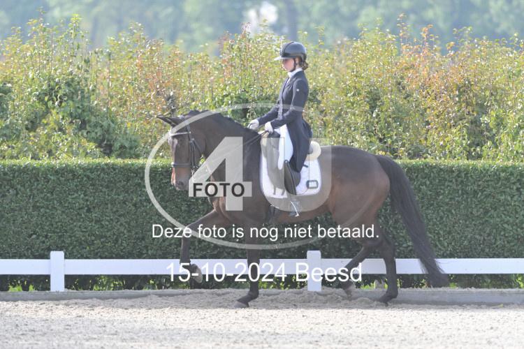 241015 0294