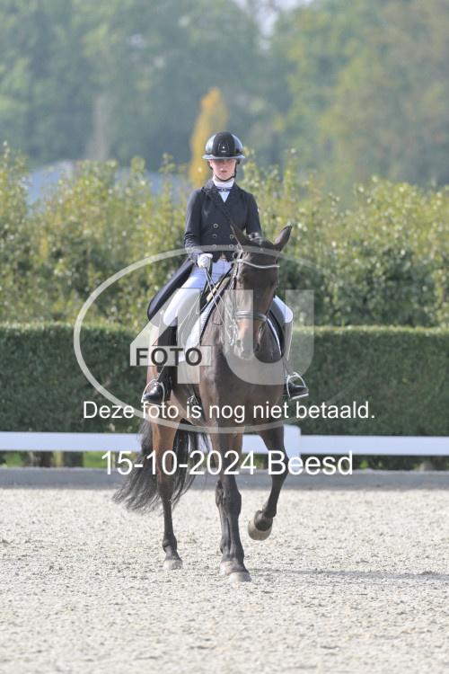 241015 0296