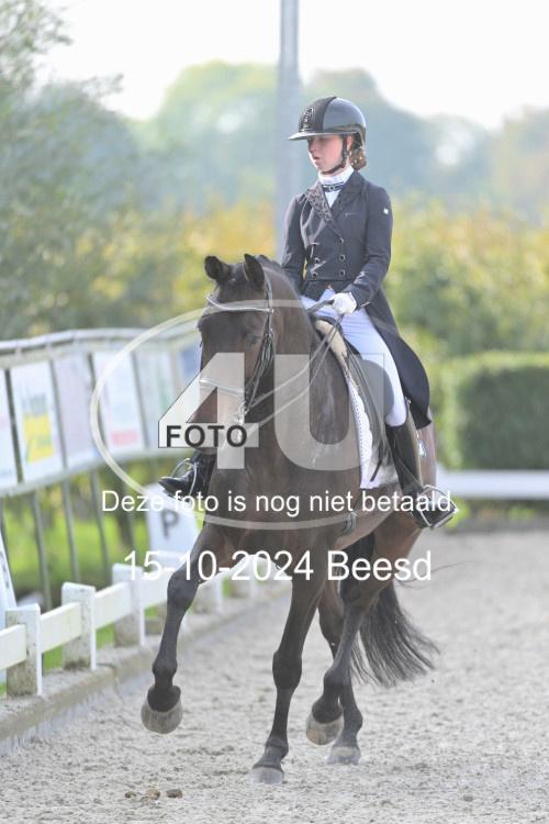 241015 0318