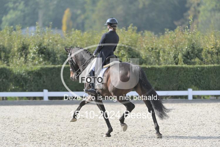 241015 0324