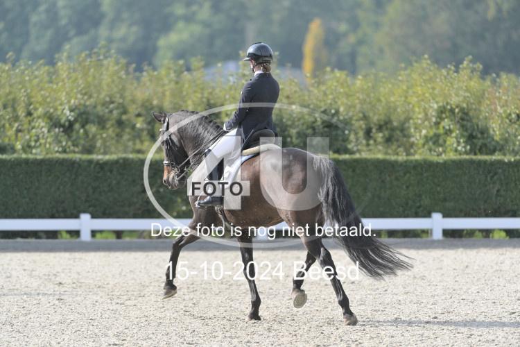 241015 0325