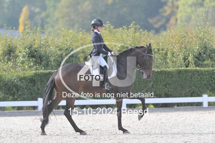 241015 0353