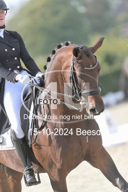 241015 0415