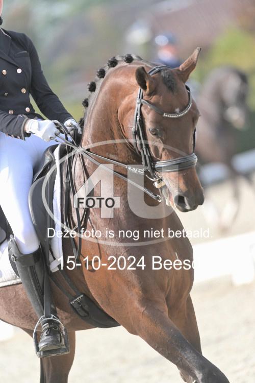 241015 0416